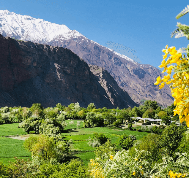 Chitral